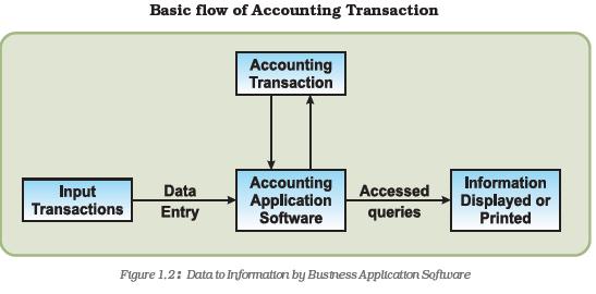 NCERT Class 12 Accountancy Computerized Accounting System Overview